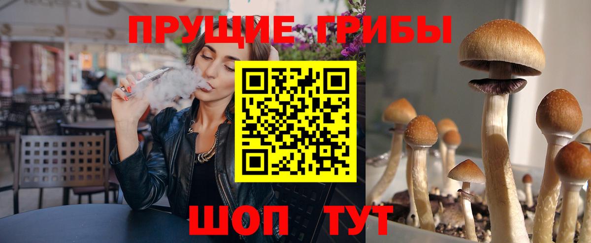 Псилоцибиновые грибы Cubensis  Вход с VPN  Москва 